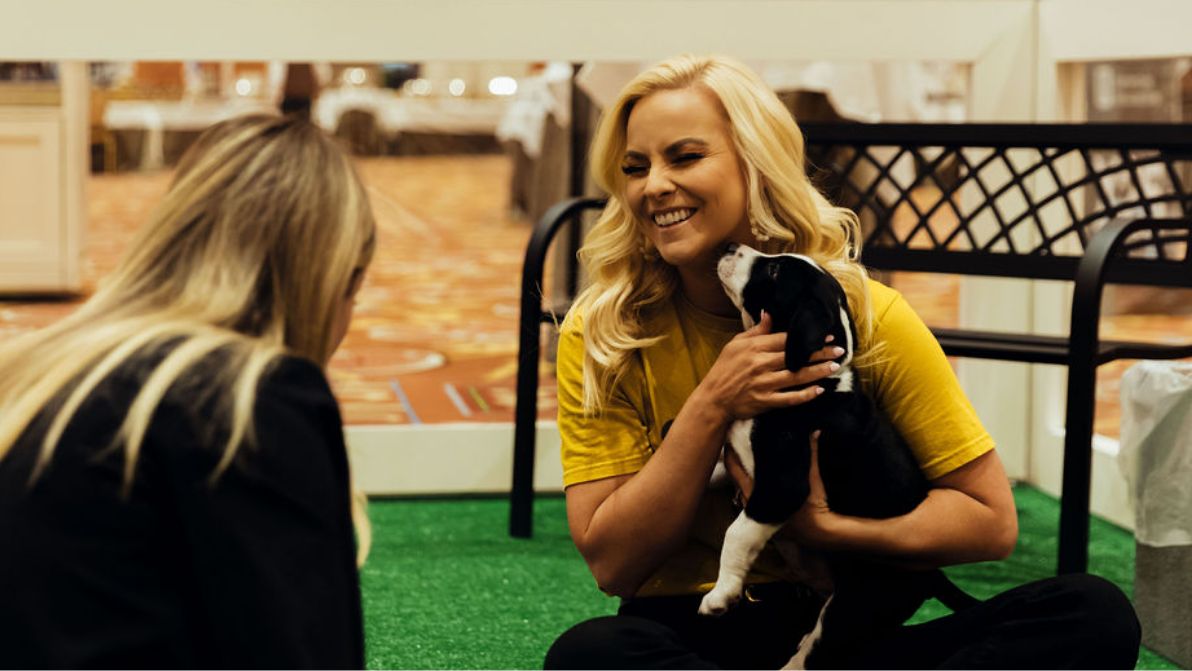X26-Networking-Dog-Park-02.jpg